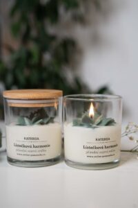 Přírodní sojová svíčka- Lístečková harmonie