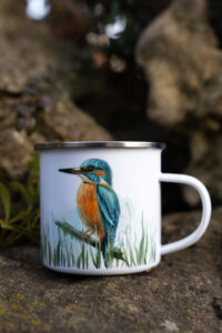 Plecháček- Ledňáček v trávě