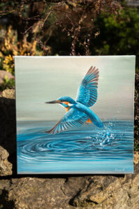 Obraz - Ledňáček nad vodou 50x50cm